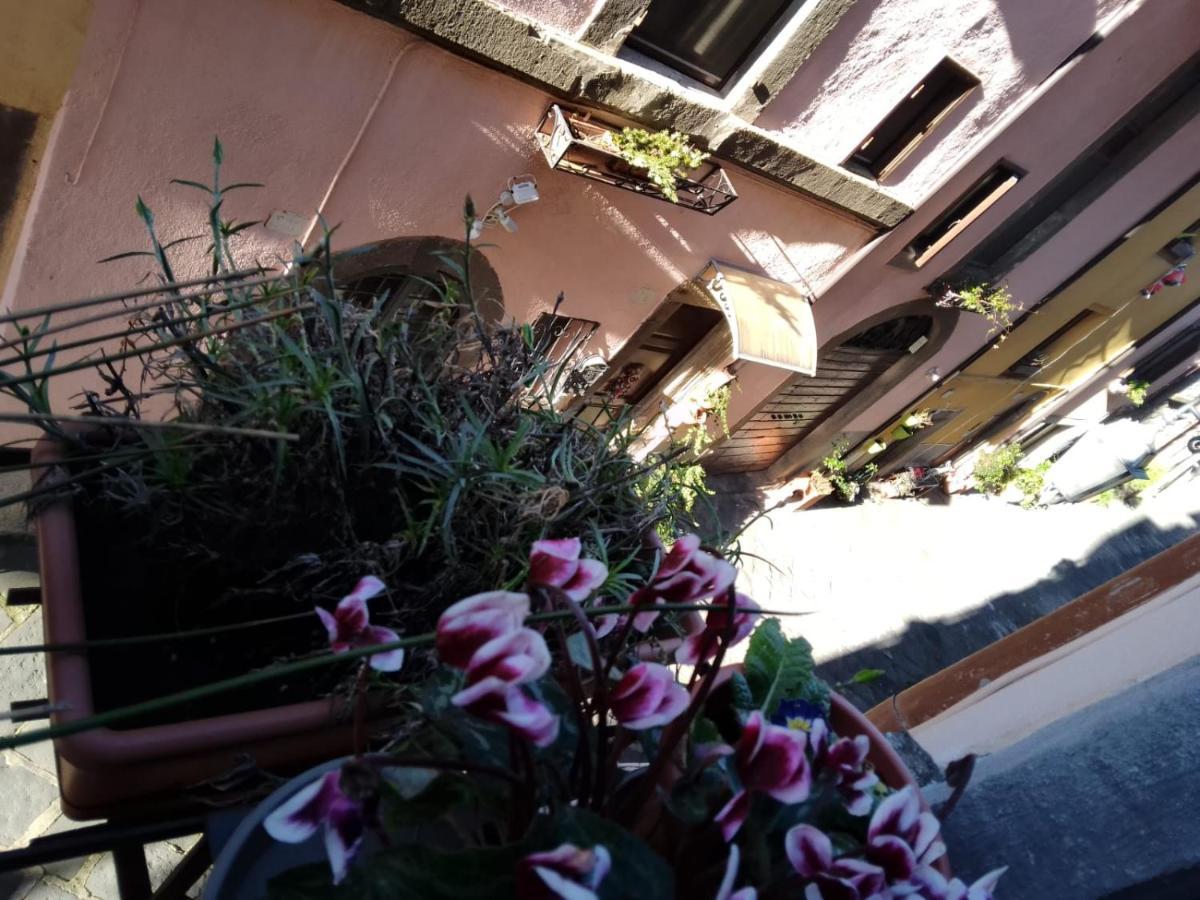 Alloggio Turistico Centro Storico Malatesta มอนเตเฟียสโกเน ภายนอก รูปภาพ